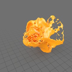 Splash