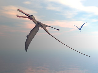 Anhanguera prehistoric birds - 3D render © Elenarts