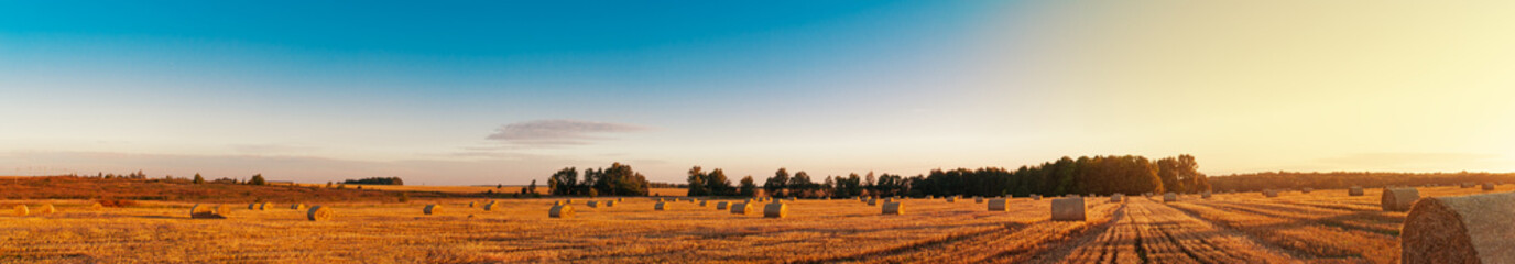 a panorama of a field with rolls of straw against a background of the beautiful sunset © antonivano