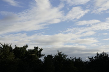 Landscape with pretty blue sky and clouds framet by trees