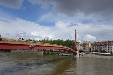 Amazing Lyon bridge
