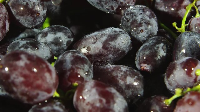 Rotating closeup view of purple grapes