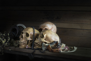 Still life photography with human skulls and bone  attached to  rusty chain on  the wooden table.