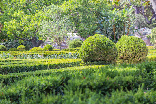 neat Park with topiary plants smooth lines