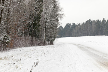 road covered with snow in the forest