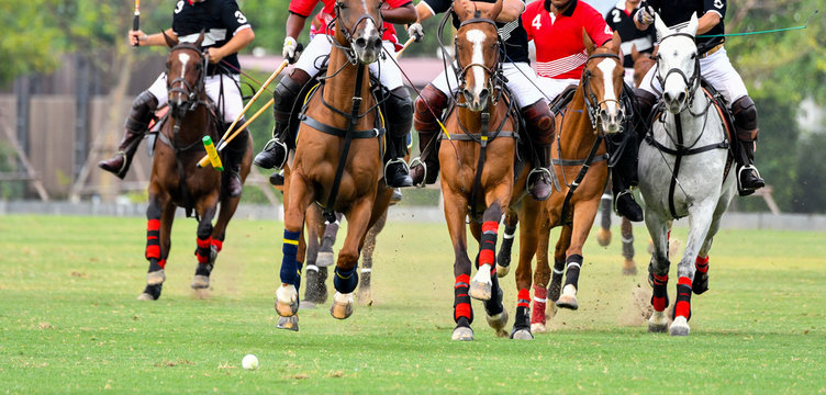 Many Horse Run