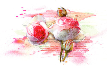 Romantic pink colored roses - Watercolor, splash, splatter - Art, illustration