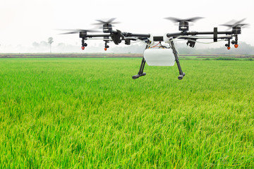 Agriculture drone flying on the green rice field