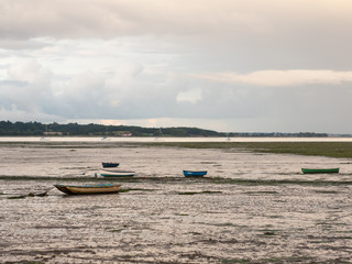 close up of estuary scene in manningtree with moored boats