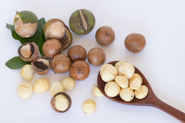 Closeup view of natural macadamia oil and Macadamia nuts on wooden board. Healthy food