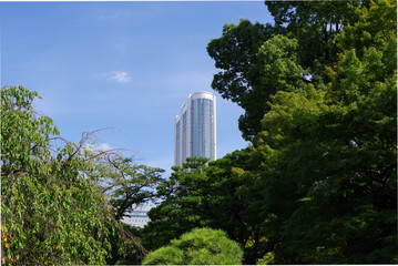 空と樹木とビル