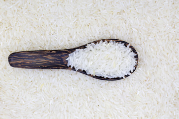 rice grain