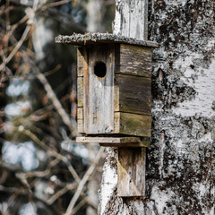 A bird house