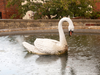 mute swan statue in fountain in mistley essex