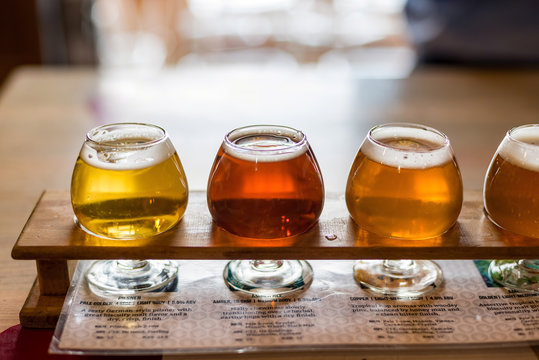 Beer samples lined up for a tasting