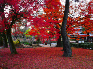 Fall of ancient capital of Japan