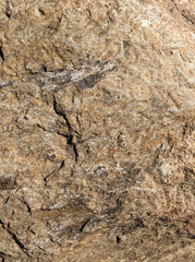 Background of a stone