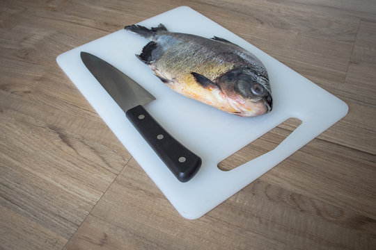 Red bellied PACU on the chopping board for cooking.