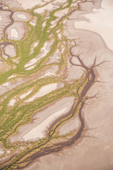 aerial tidal creek patterns