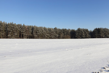Snow drifts in winter