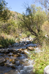 creek in the mountains