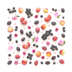 A composition of fruits in a square format on a white background. Pattern made from fresh fruits. Top view, flat design. Collage of plum, grapes, apples, flowers, nectarines.