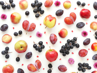 A composition of fruits on a white background. Pattern made from fresh fruits. Top view, flat design. Collage of plum, grapes, apples, flowers, nectarines.