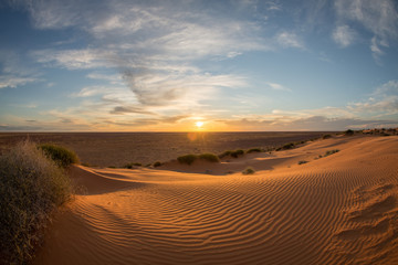 Fototapeta na wymiar Dawn, Sturts Stony Desert