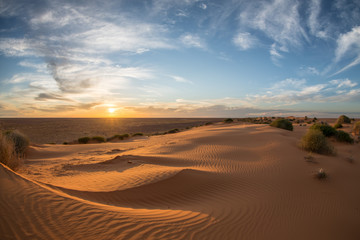 Obraz na płótnie Canvas sunrise, Sturts Stony Desert