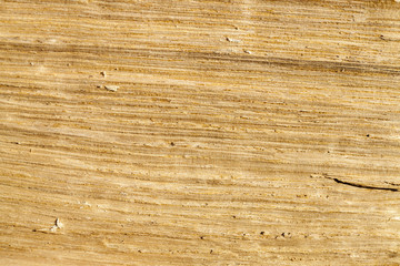 broken in an old unpainted boards