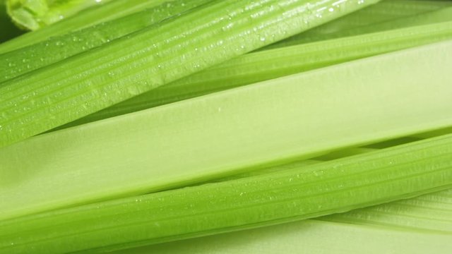 Rotating closeup view of celery