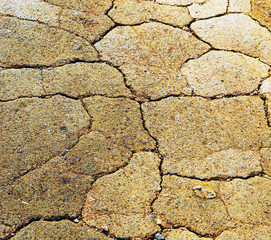dry background cracked earth