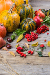 Autumn composition with different pumpkins, autumn leaves, chestnuts, rowan berries, apples and pears and wild rose berries. Autumn Harvest concept