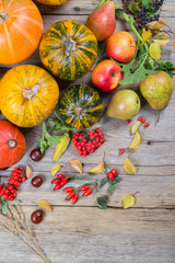 Autumn composition with different pumpkins, autumn leaves, chestnuts, rowan berries, apples and pears and wild rose berries. Autumn Harvest concept , flat lay, top view