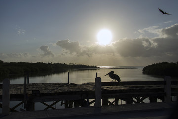 Amanecer en Punta Allen / Sunrise in Punta Allen