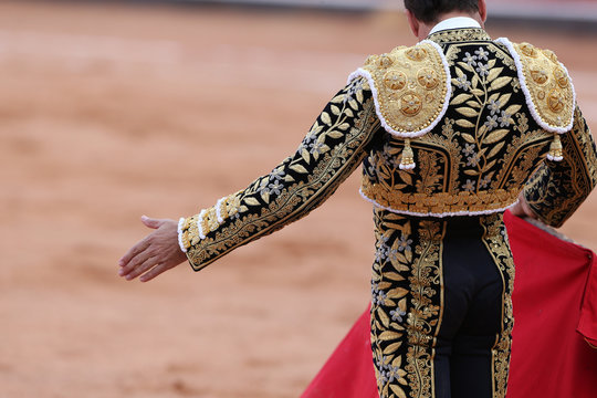Torero en la plaza con el toro bravo