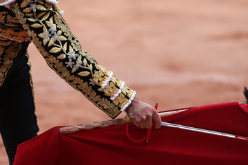 Torero en la plaza con el toro bravo