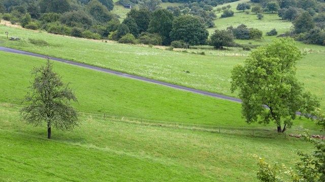 Blick von erhöhter Perspektive auf eine grüne Landschaft mit vereinzelten Bäumen, Weg und Sitzbank