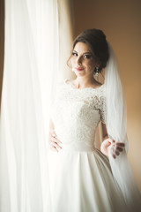 Fototapeta premium Luxury bride in white dress posing while preparing for the wedding ceremony