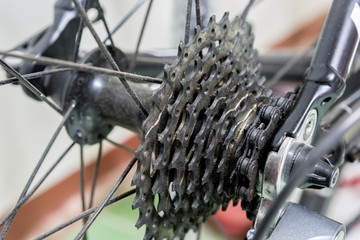 Old bicycle gear