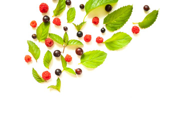 Composition with Fresh mint leaves and red raspberries and blackcurrant