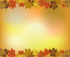 Autumn background with Maple Leaves