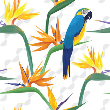 Tropical seamless pattern with macaw birds and bird of paradise flowers on black background. Vector set of exotic tropical garden for wedding invitations, greeting card and fashion design. 