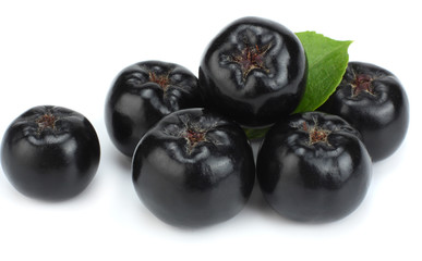 Chokeberry with leaf isolated on white background. Black aronia