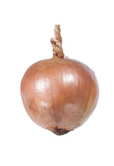 onion blub isolated on white