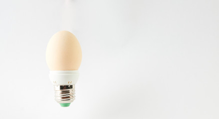 Egg lightbulb isolated on white