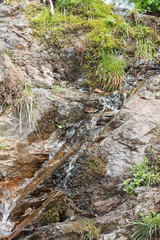 Stream among the high mountain forests. Pure water