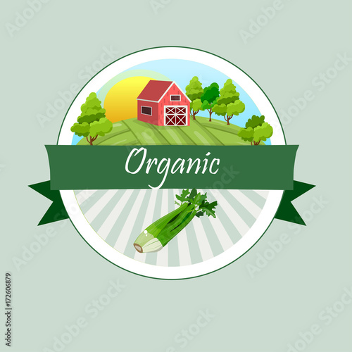 "Celery stick hand drawn vector illustration" Stock image and royalty