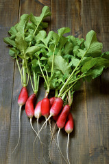 Fresh radish