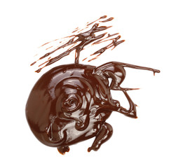 Hot melted chocolate pouring isolated on white background, top view